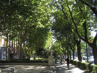 Paseo del Prado Foto