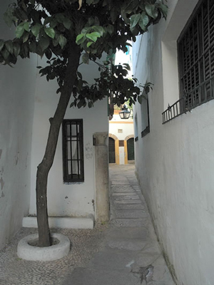 Calles de Córdoba Foto